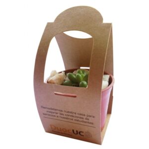 Suculenta envase kraft